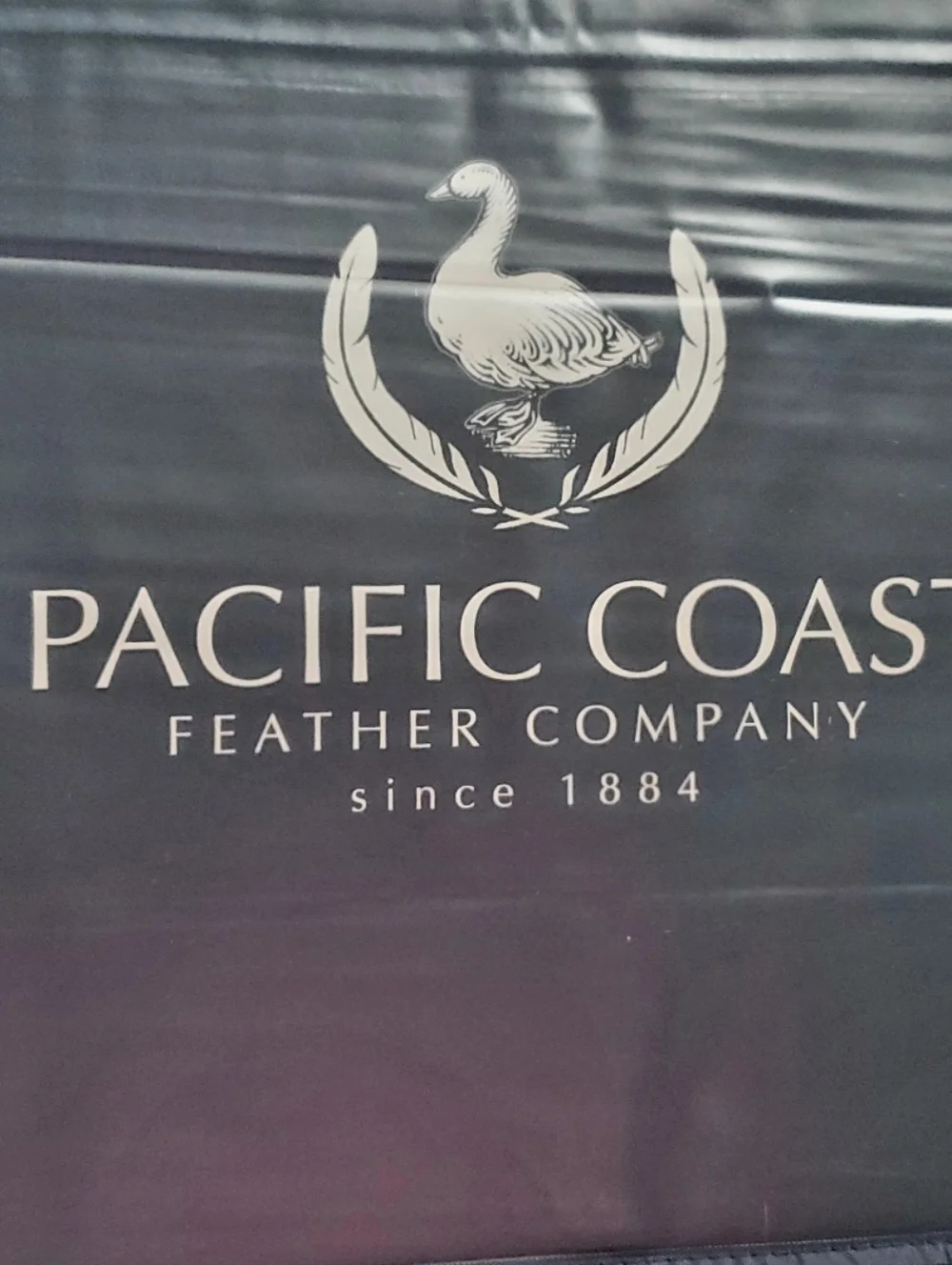 NEW Pacific Coast Feather Company King Down Comforter/Duvet Hotel-Style Bedding.